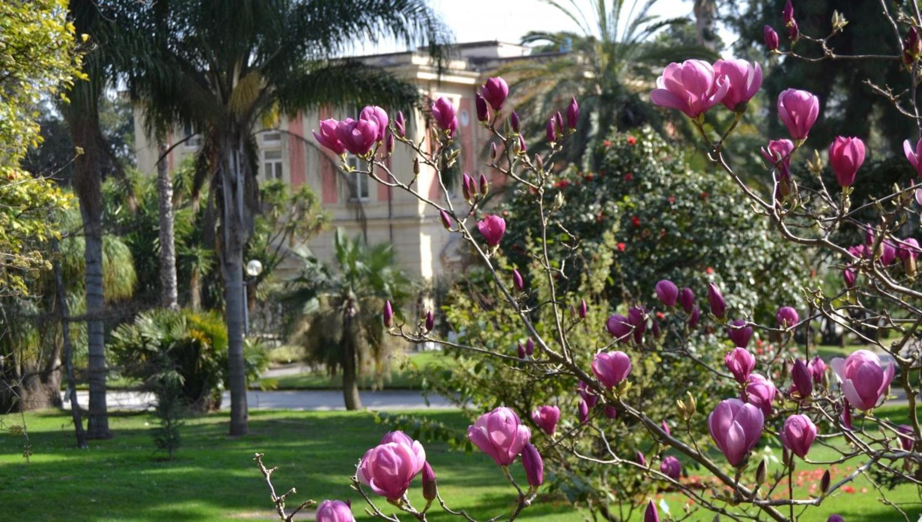 Casina Via Foria Bed and Breakfast Νάπολη Εξωτερικό φωτογραφία